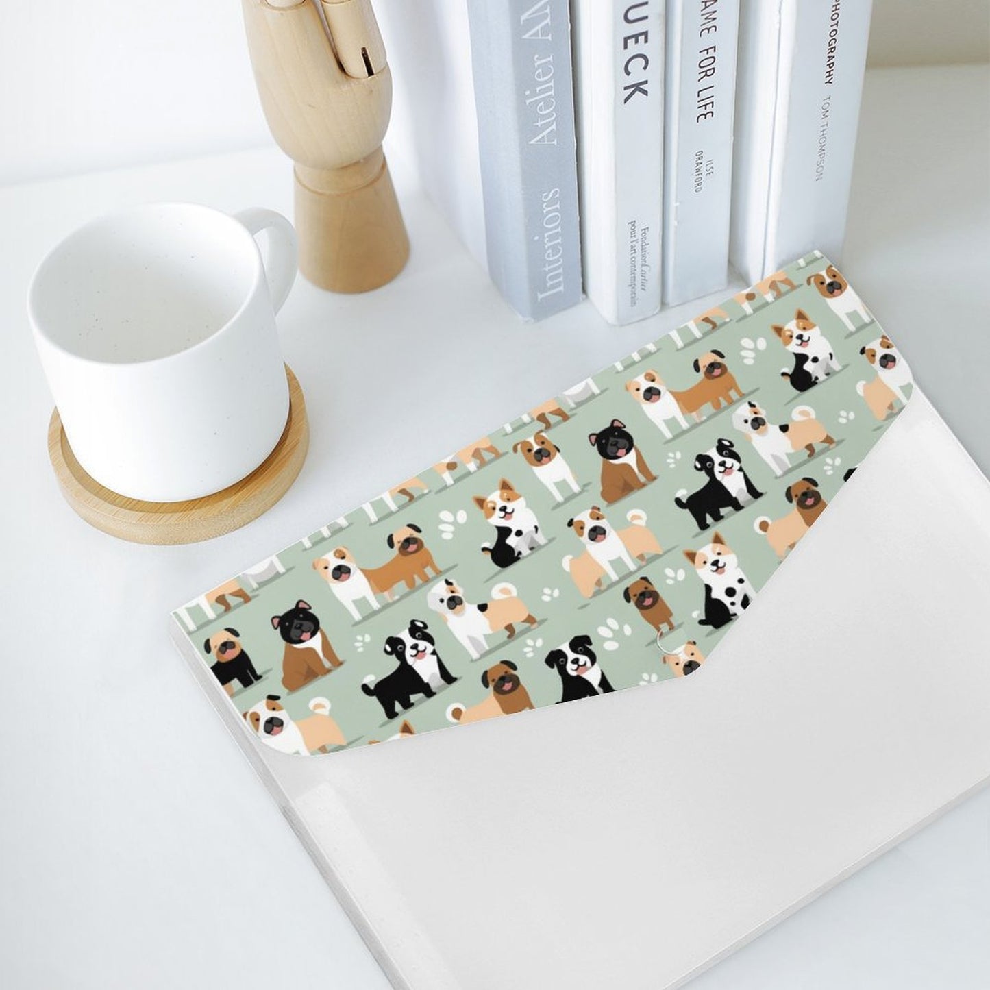 Cartella contenitore